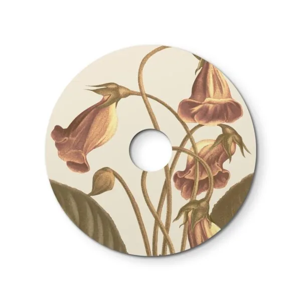 Botanical Gloxinia – Ø240 Flat Lampeskjerm Inne/Ute