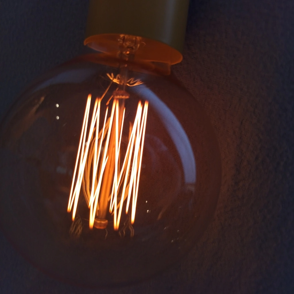 G95 Globe Filament 40W Glødetråd Dekorpære - Retro glødetråd - Bilde 2